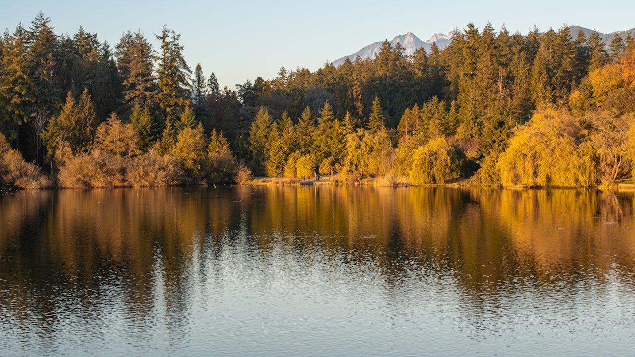 Lost Mary BM5000: A Balance of Affordability and Quality